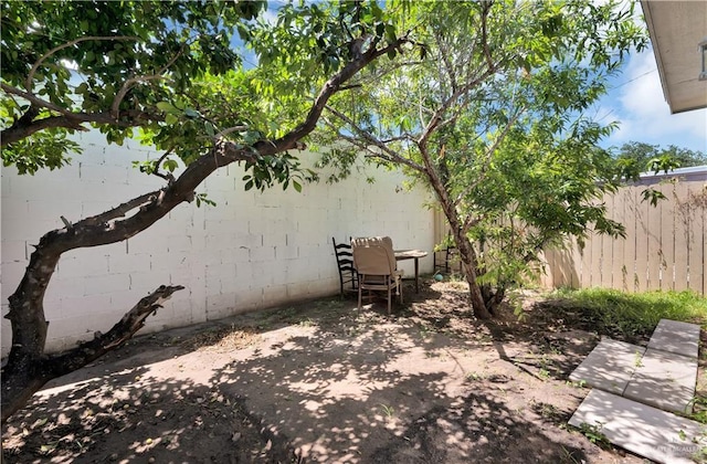 404 S 21st St, Mcallen, TX 78501 - view of patio