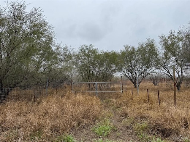 Listing photo 2 for 00 Las Brisas Rd, Rio Grande City TX 78582