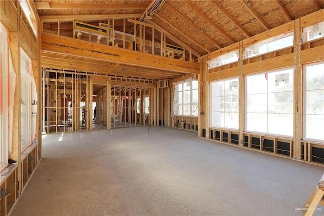 miscellaneous room with lofted ceiling