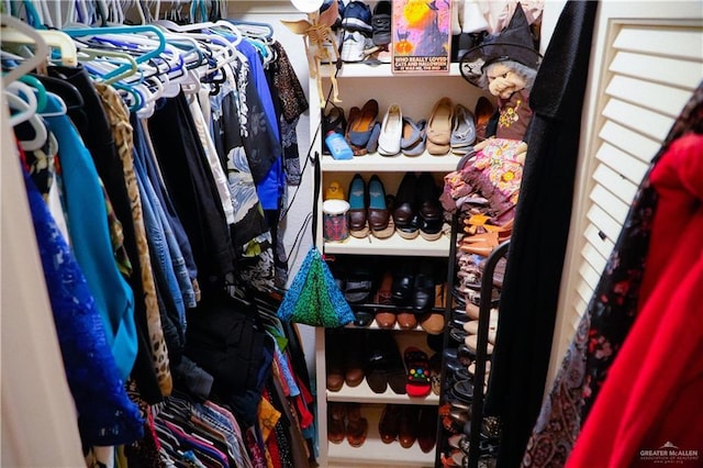 view of walk in closet