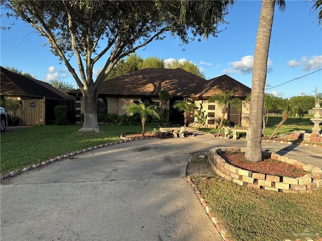 view of front of house with driveway, brick siding, and a front yard