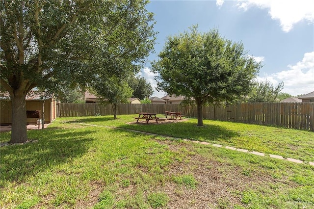 view of yard featuring a storage unit