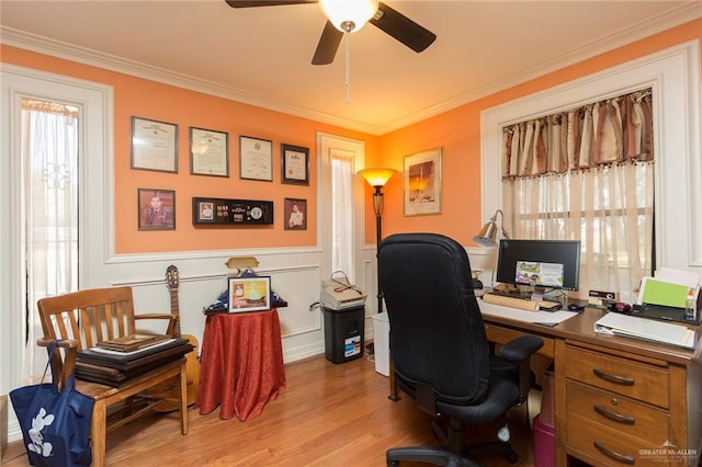 office space featuring crown molding, ceiling fan, and light wood-type flooring