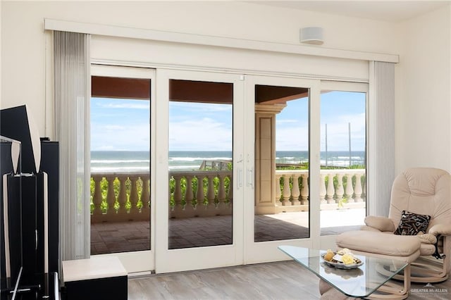 doorway with plenty of natural light, a water view, wood-type flooring, and a beach view