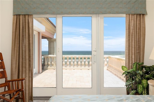 entryway with a water view and a wealth of natural light