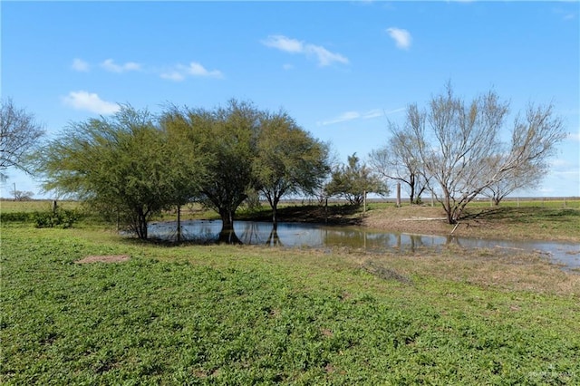 Listing photo 2 for 0 El Conejo Rd, La Gloria TX 78582