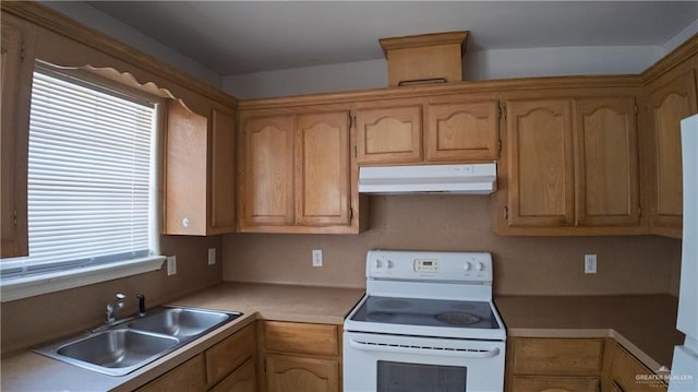 815 N Cross Ln, Edinburg, TX 78541 - photo 18