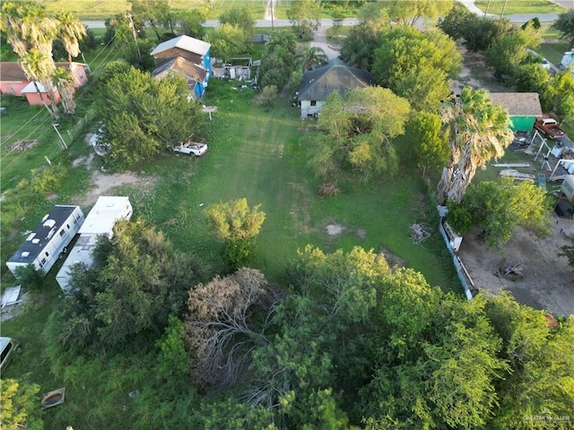 8207 E Iowa Rd, Edinburg, TX 78542 - photo 9