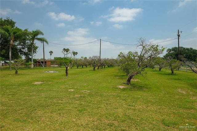 26086 Rabb Rd, La Feria, TX 78559 - view of grassy yard