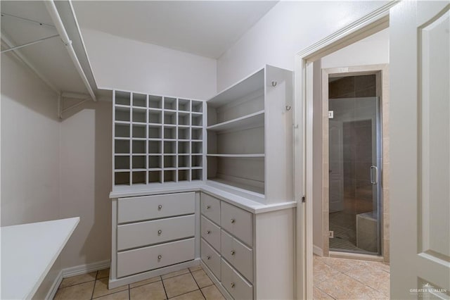 1711 Esperanza Ave, Hidalgo, TX 78557 - walk in closet with light tile patterned floors