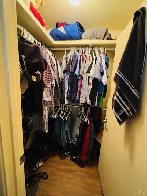 spacious closet with wood-type flooring