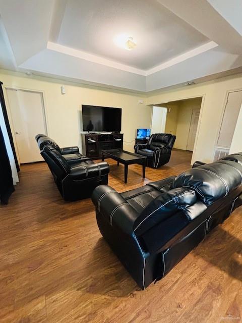 living room with a raised ceiling and wood-type flooring