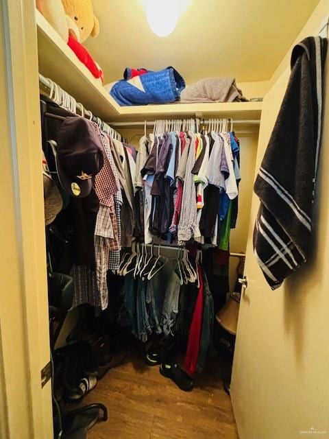 spacious closet with hardwood / wood-style floors