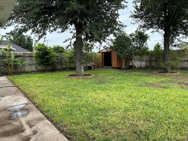 206 Justice Ln, San Juan, TX 78589 - fenced backyard featuring a storage unit
