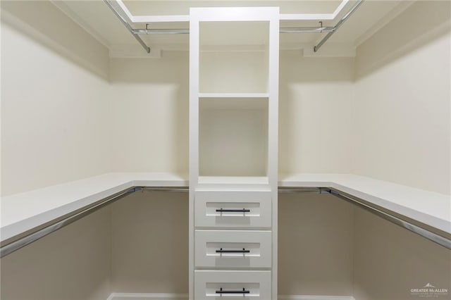 view of spacious closet