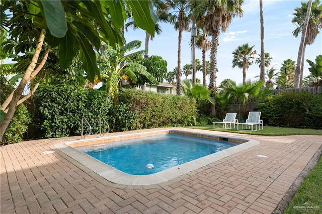 view of swimming pool with a patio area