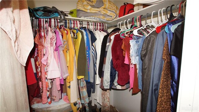 view of spacious closet