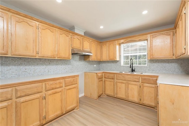 7201 S San Marcos St, Pharr, TX 78577 - kitchen featuring under cabinet range hood, a sink, light wood finished floors, backsplash, and recessed lighting