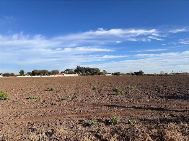 0 N Fm 493, Donna TX, 78537 land for sale