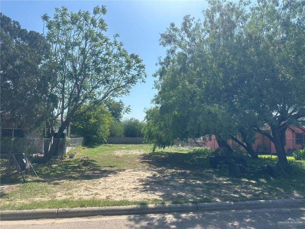 2411 Ala Blanca Ave, Mission, TX 78572