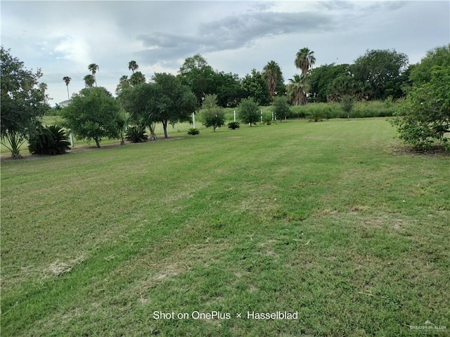 9458 Charles Green Rd, Edcouch, TX 78538 - view of grassy yard