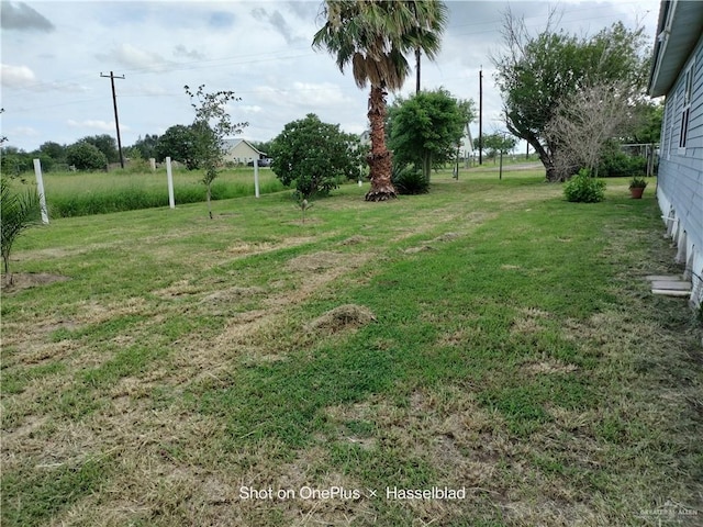 9458 Charles Green Rd, Edcouch, TX 78538 - view of green lawn