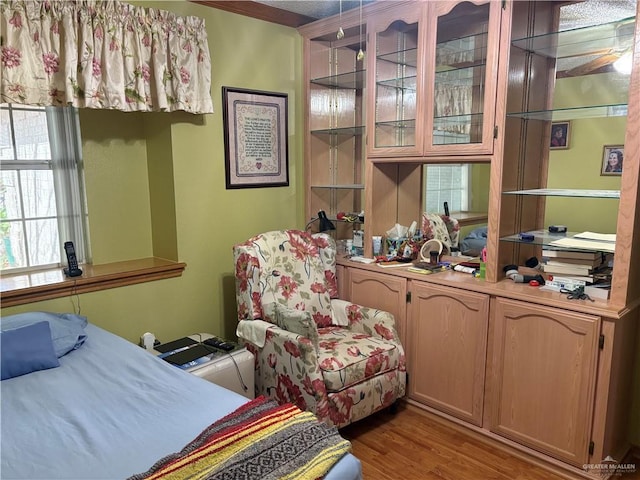 bedroom with light hardwood / wood-style flooring