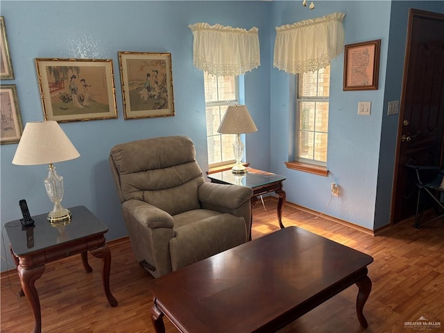 living area featuring hardwood / wood-style floors