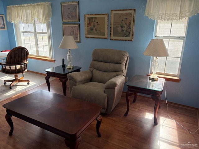 living area featuring hardwood / wood-style floors