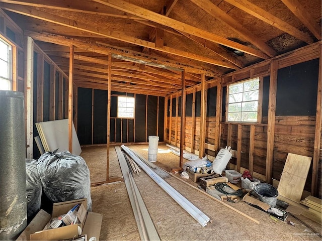 miscellaneous room with lofted ceiling and a wealth of natural light