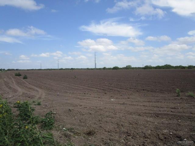 30ACRES Fm 732, San Benito, TX 78586 - photo 3