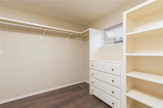 3308 Santa Iliana St, Mission, TX 78572 - photo 16