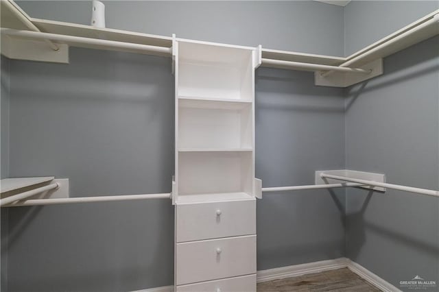 spacious closet featuring hardwood / wood-style flooring