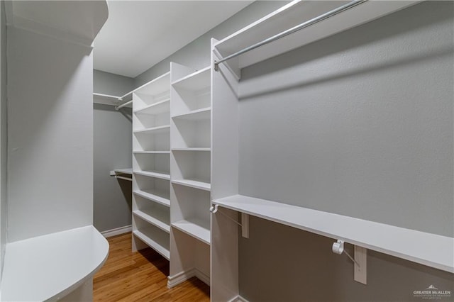 walk in closet featuring wood finished floors