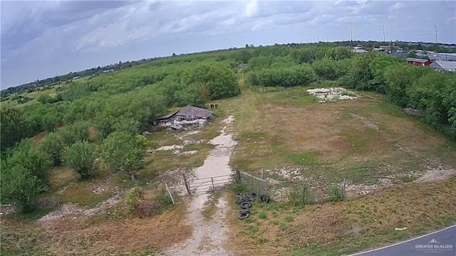 118 W Earling Rd, Donna, TX 78537 - photo 3
