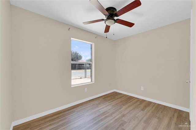 711 W Dipper Ave, Pharr, TX 78577 - photo 12