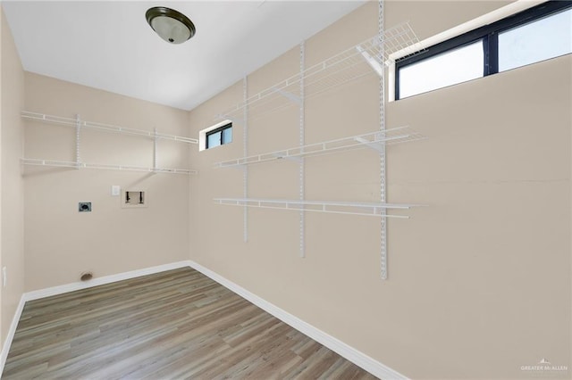 711 W Dipper Ave, Pharr, TX 78577 - photo 8