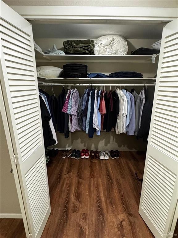 1108 Ash Dr, Weslaco, TX 78596 - view of closet