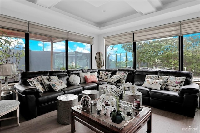 living room featuring hardwood / wood-style floors and a raised ceiling