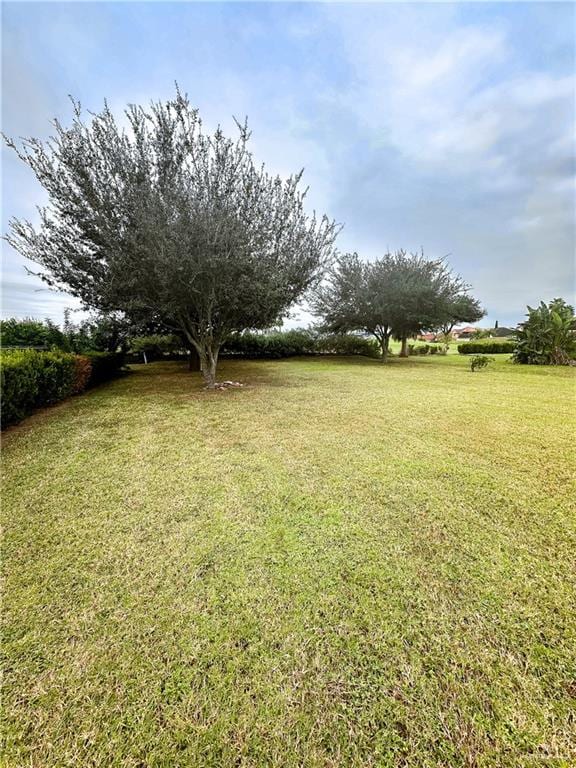 2221 Links Dr, Edinburg, TX 78542 - photo 4