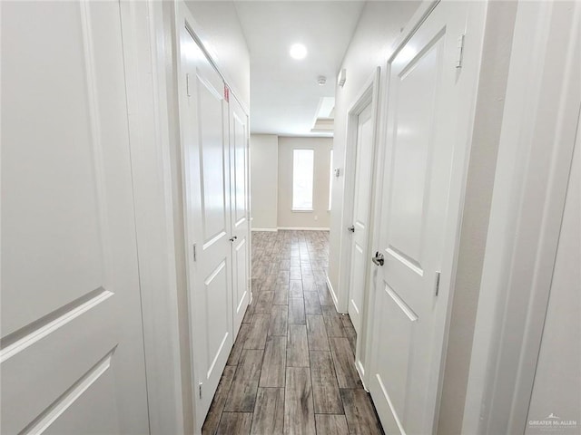 hall featuring wood-type flooring