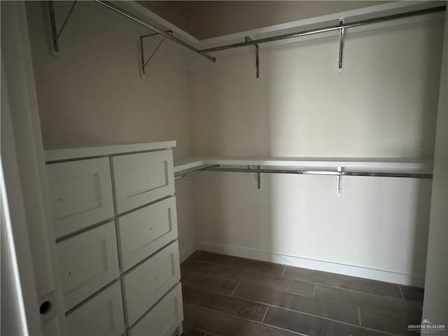 view of walk in closet