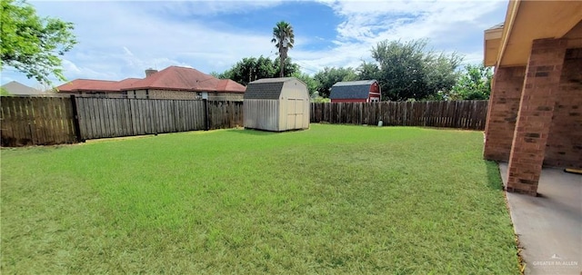 view of yard featuring a storage shed