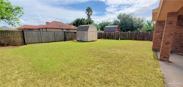 view of yard with a shed