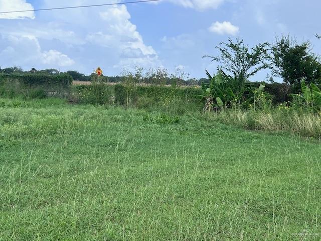 1056 E Mile 11 N, Weslaco, TX 78599 - view of undeveloped land with rural landscape