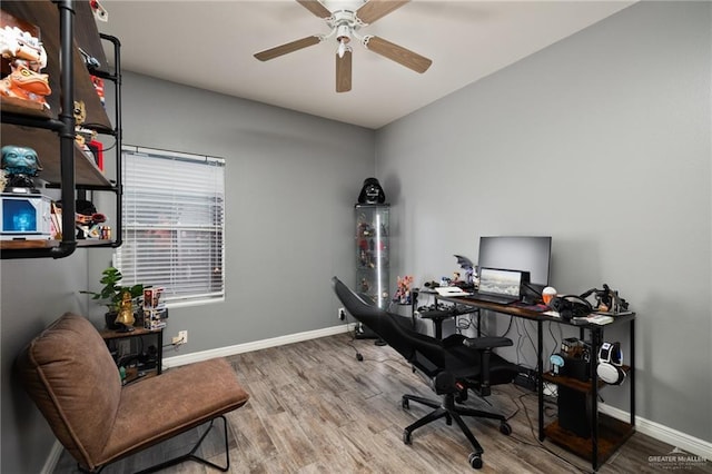 office space featuring hardwood / wood-style flooring and ceiling fan