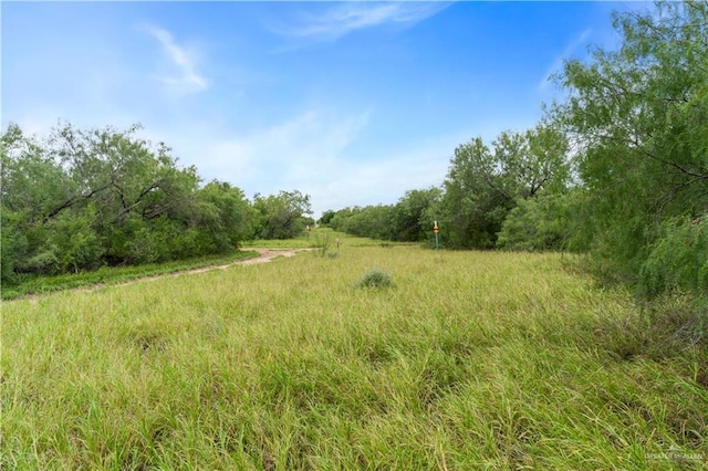 00 Military Rd, La Joya, TX 78560 - photo 13