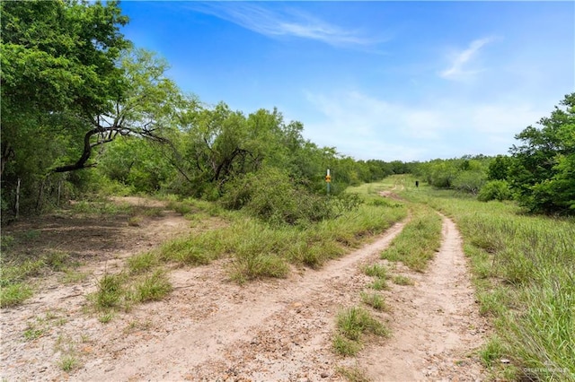 00 Military Rd, La Joya, TX 78560 - photo 11