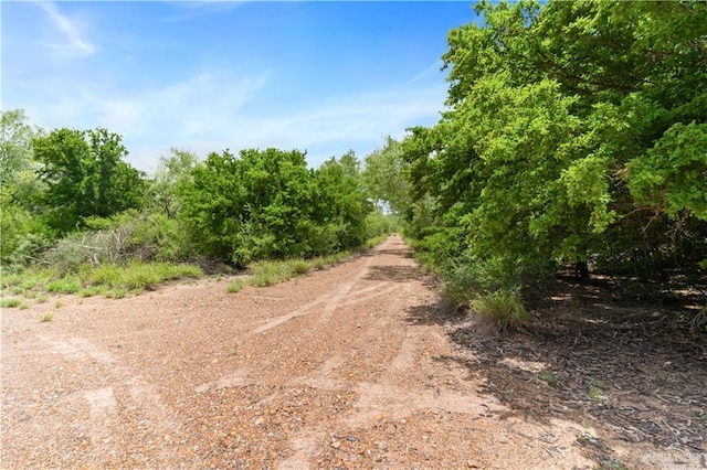 00 Military Rd, La Joya, TX 78560 - photo 10