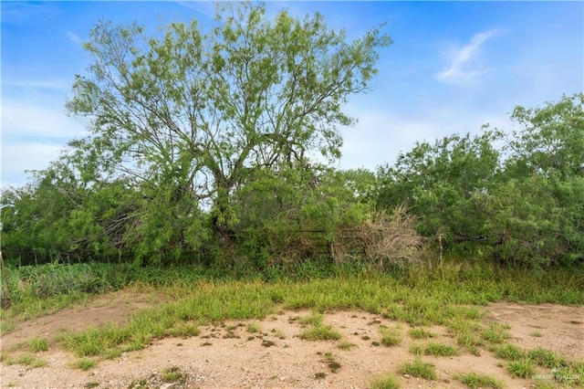 00 Military Rd, La Joya, TX 78560 - photo 20